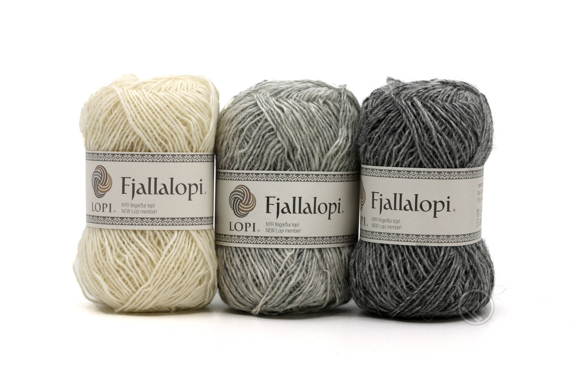 Fjallalopi - Bild 4