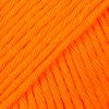13 orange uni