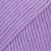 31 purple uni