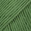 43 forest green uni