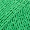 72 parrot green uni