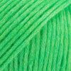 43 parrot green mix